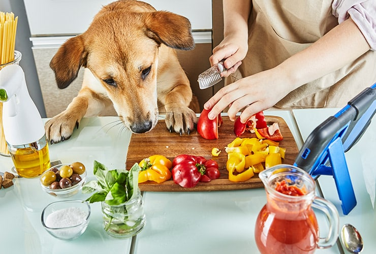 Alimentos para Humanos que los Perros Pueden Comer