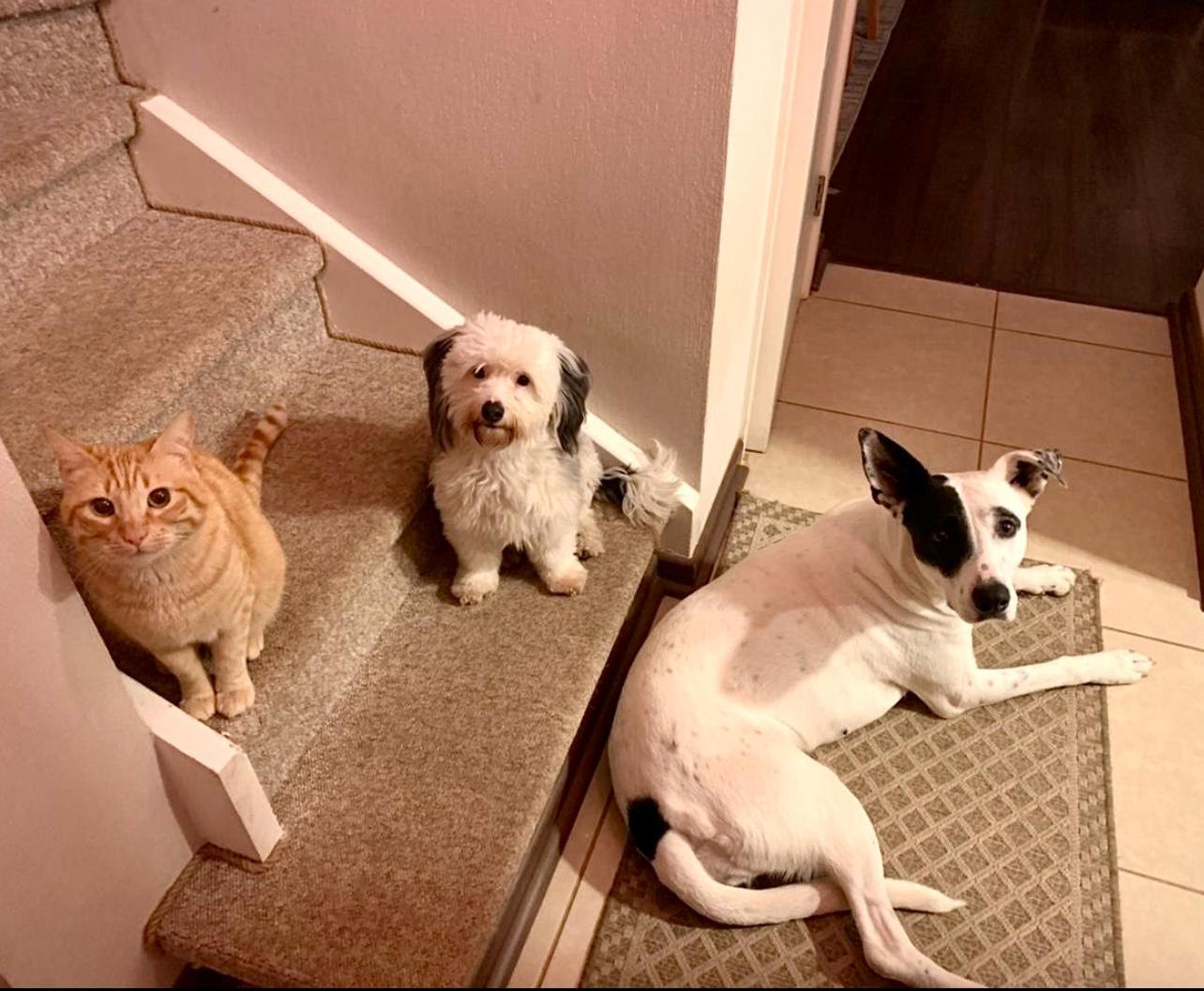 LUPE,KUKY Y MEMO