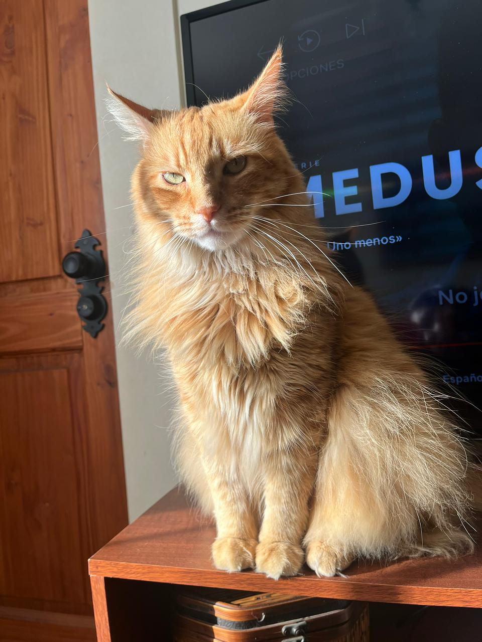 Simon